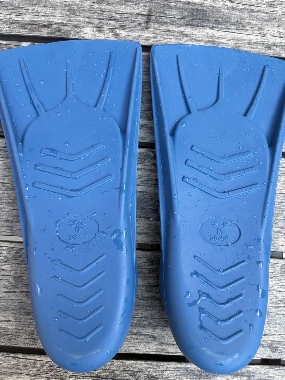 Blue Swim Short Fins